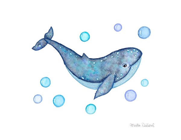 Рисунки китов для срисовки