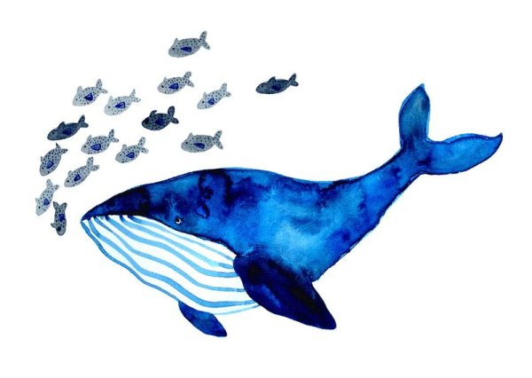 Рисование в подготовительной группе синий кит