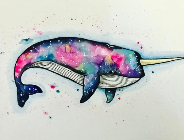 Кит с рогом единорога