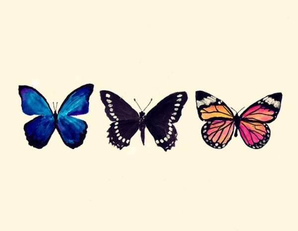 Бабочки для срисовки маленькие