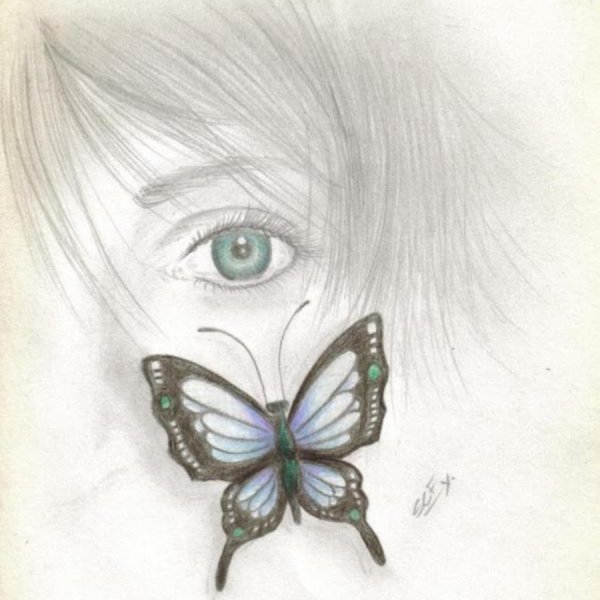Бабочка арт карандашом