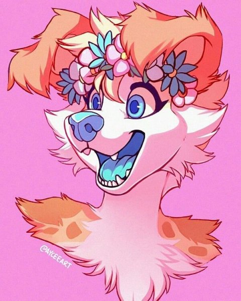 Фурри персы