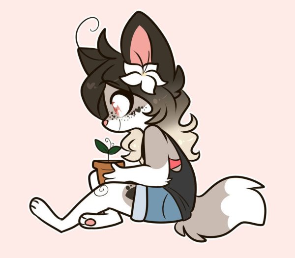 Kiitsvne персы фурри