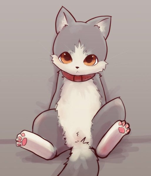 Милые коты референс