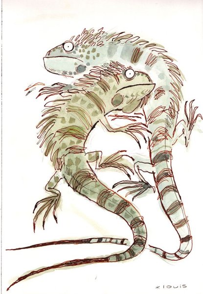 Милые ящерки рисунки