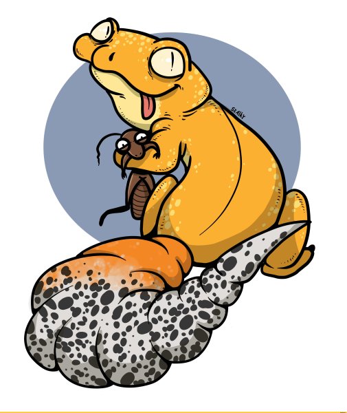 Эублефары милые арты