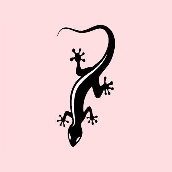 Трусики с рисунком ящерицы