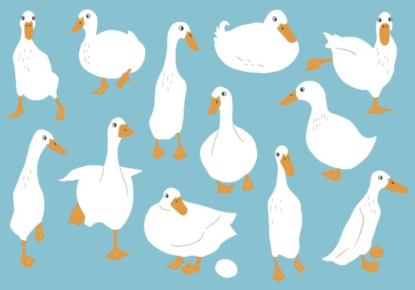 Референс Гусыни