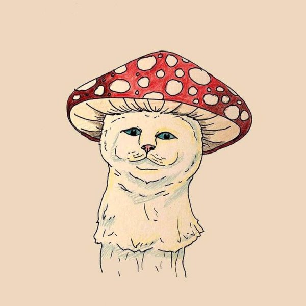 Кот мухомор