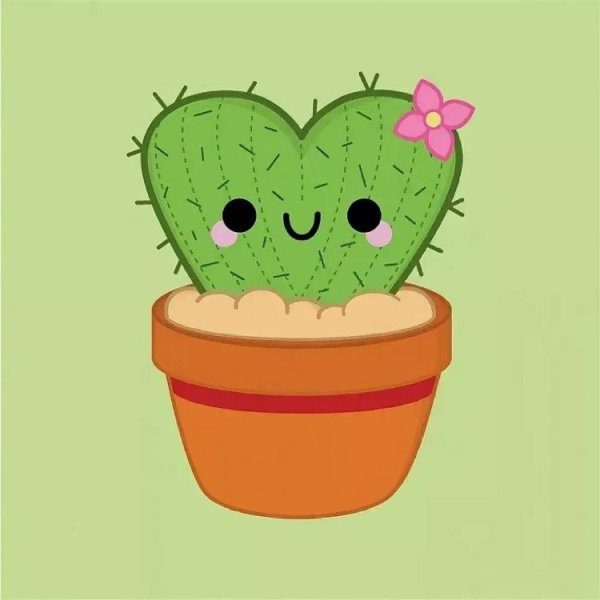 Катя Кактус