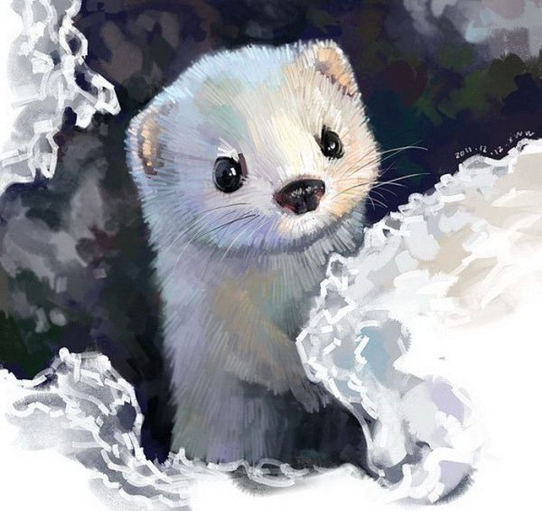 Художник Wawa Xue