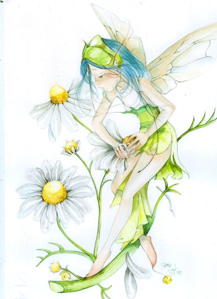 Акварельные иллюстрации