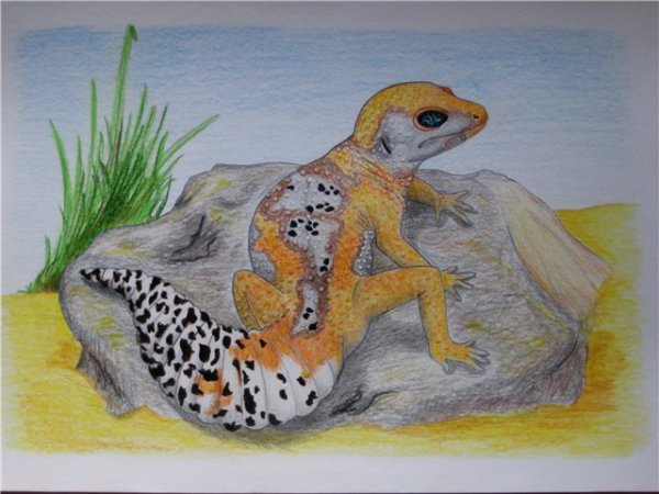 Милые ящерицы арт