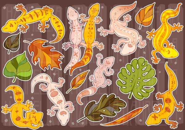 Эублефар арт милый