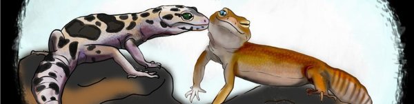 Ящерица геккон эублефар арт