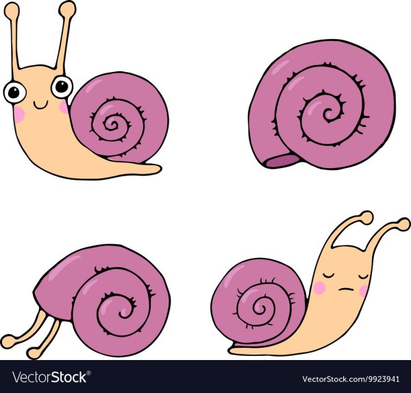 Следы от улиток рисование