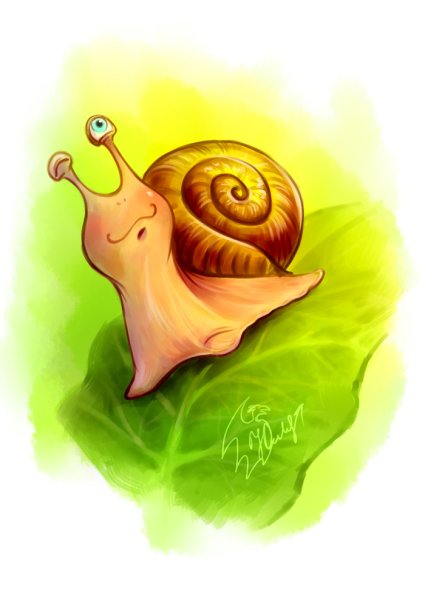 Улитка иллюстрация