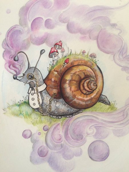 Улитка картина