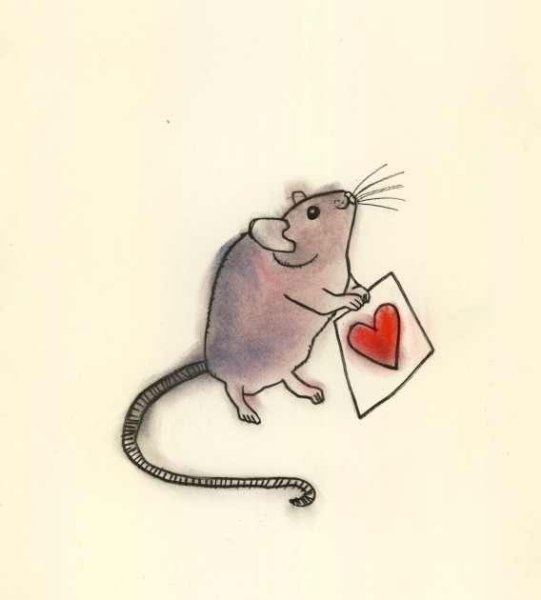 Милые крыски рисунки для срисовки