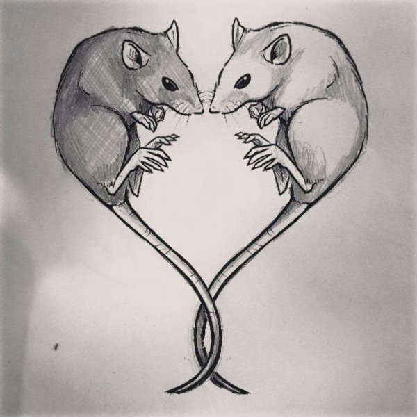 Мышь тату эскиз