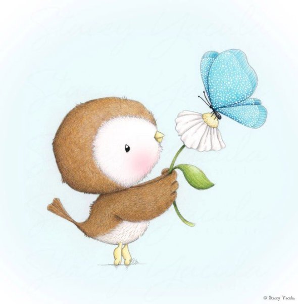 Милые животные едят друг друга