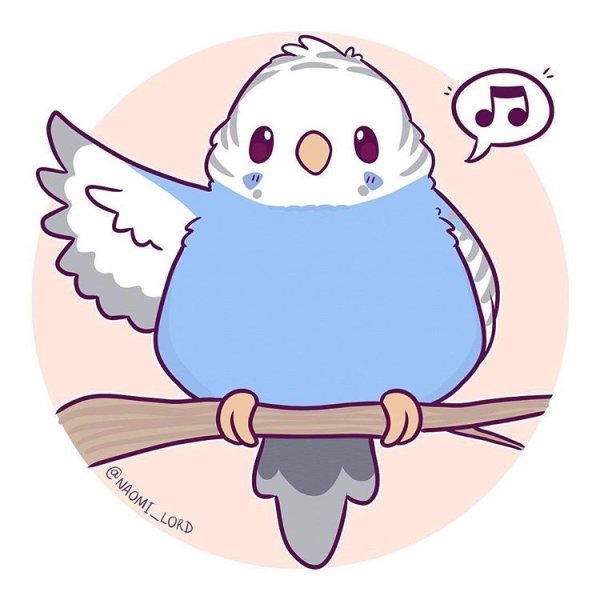 Милые попугайчики для срисовки