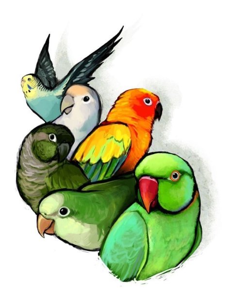 Милые птички иллюстрации