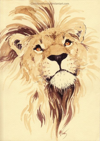 Львица акварель