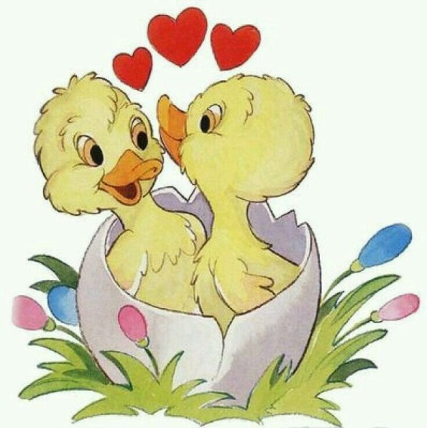 Открытки с утенком