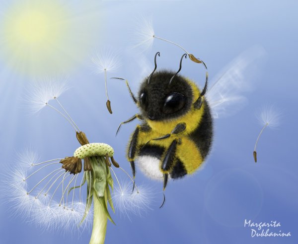 Пчела милый