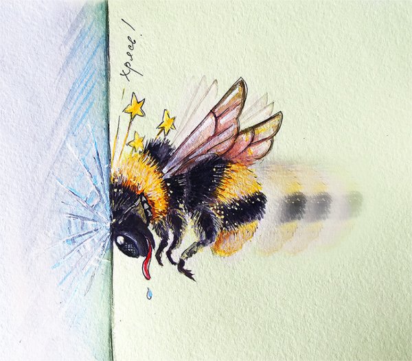 Шмель цветными карандашами