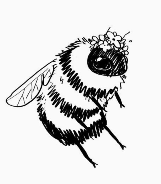 Пчела скетч