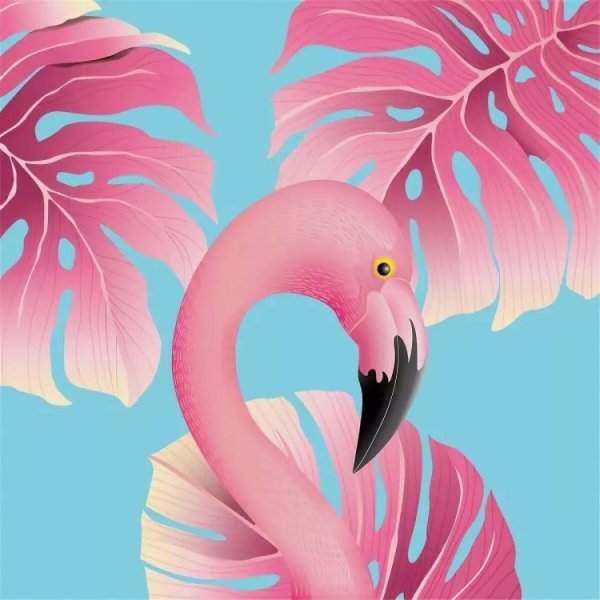 Flamingo h72065
