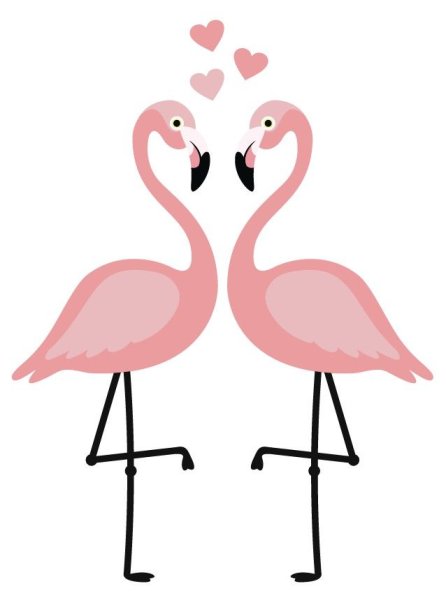 Милый Фламинго