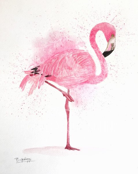 Кавайные Фламинго