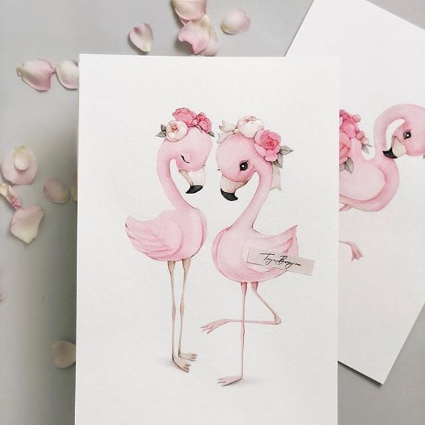 Стикеры Фламинго