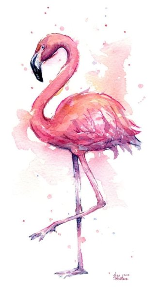 Flamingo для срисовки