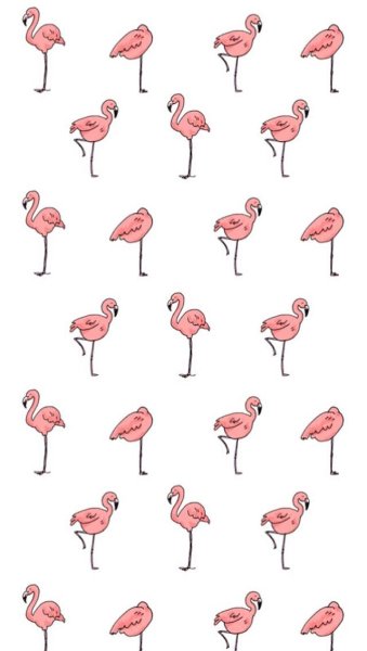 Иллюстрации Фламинго Reginast