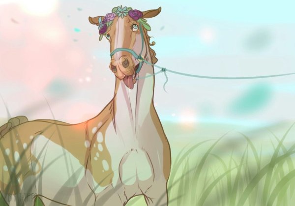 Милый арт коня