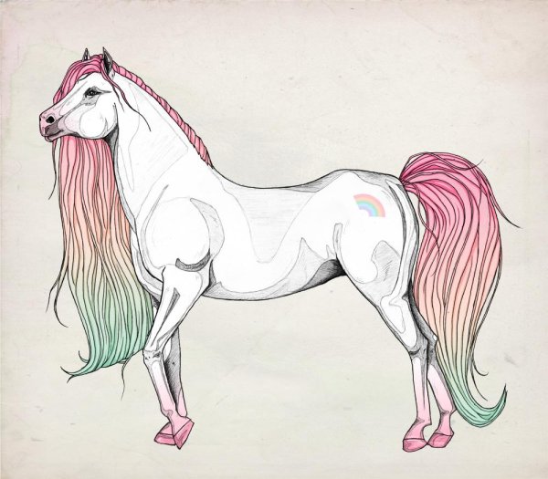 Лошади для срисовки