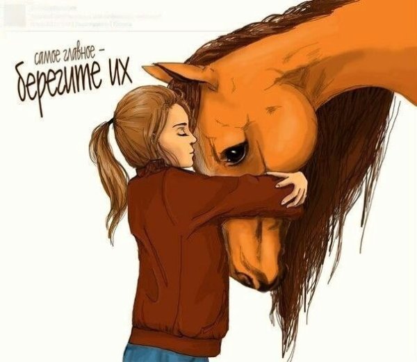 Человек обнимает лошадь за шею