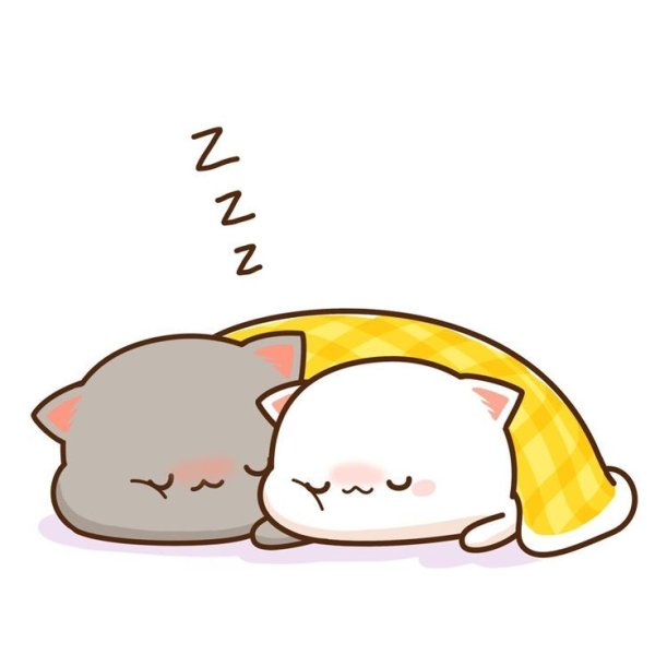 Кавайные котики спят