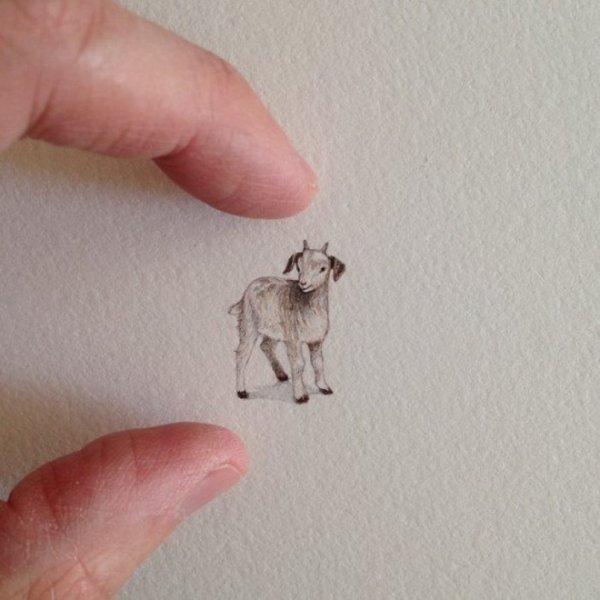 Миниатюры для рисования