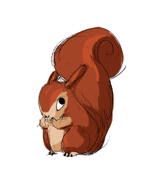 Белочки мультяшные милые