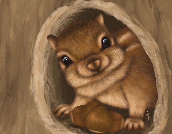 Белочки милые иллюстрации