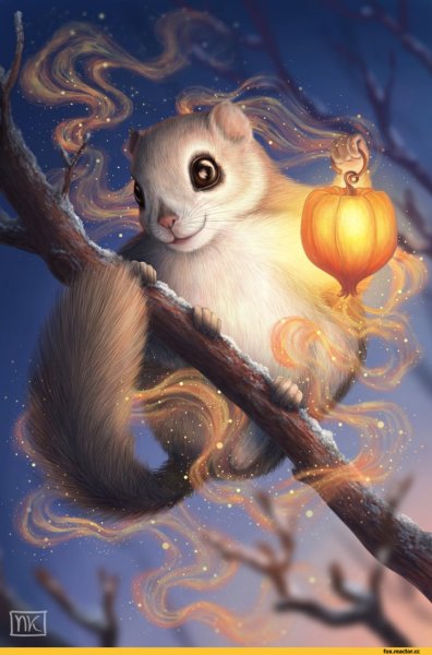 Момонга арт белка