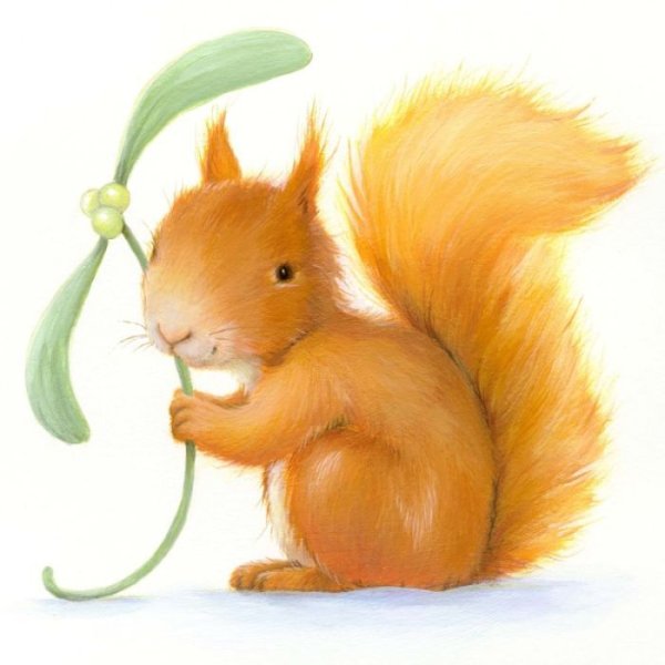 Белочки детские иллюстрации