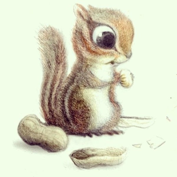 Бурундук арт