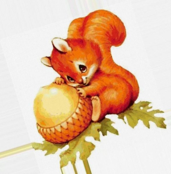 Белочка рисунок