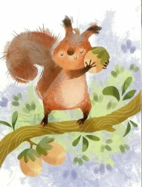 Белка иллюстрация